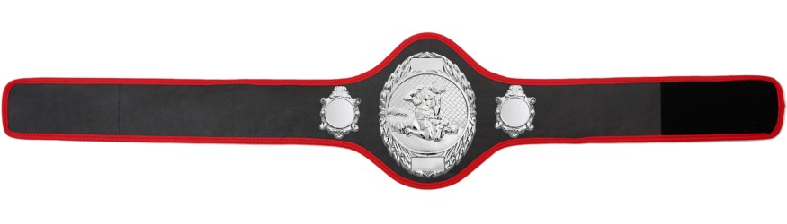 MMA CHAMPIONSHIP BELT-PRO286/S/MMAS-10+ COLOURS